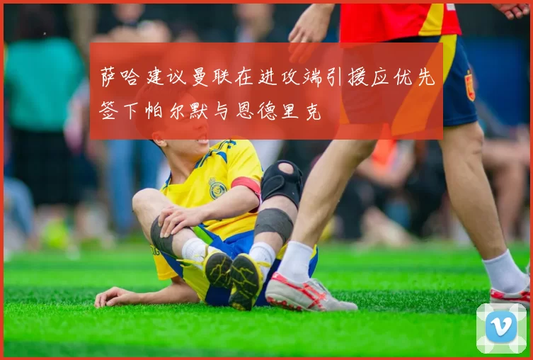 萨哈建议曼联在进攻端引援应优先签下帕尔默与恩德里克